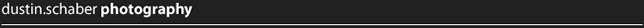 dustin schaber